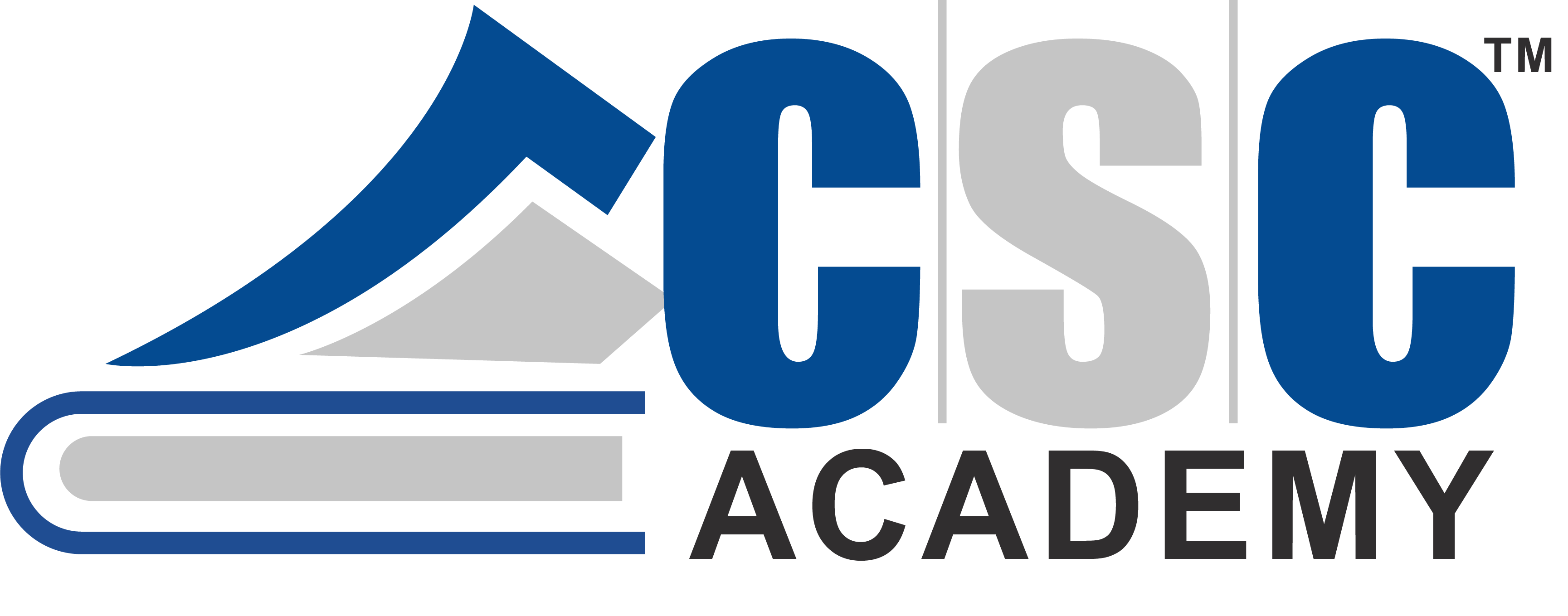 CSC Academy's Image